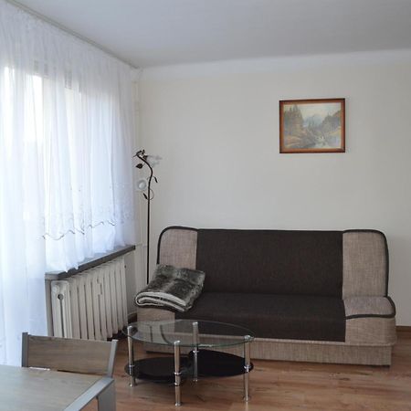 Apartament Ustrzyki Ustrzyki Dolne Bagian luar foto