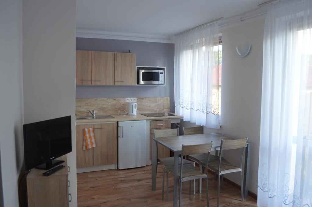 Apartament Ustrzyki Ustrzyki Dolne Bagian luar foto