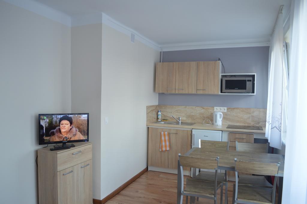 Apartament Ustrzyki Ustrzyki Dolne Bagian luar foto